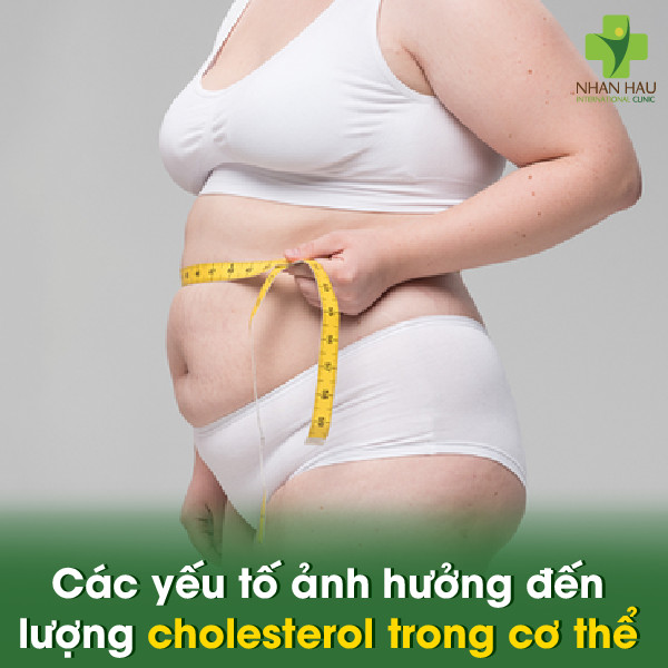 Kiểm Soát Lượng Cholesterol Trong Cơ Thể 4 Các yếu tố ảnh hưởng đến lượng cholesterol trong cơ thể