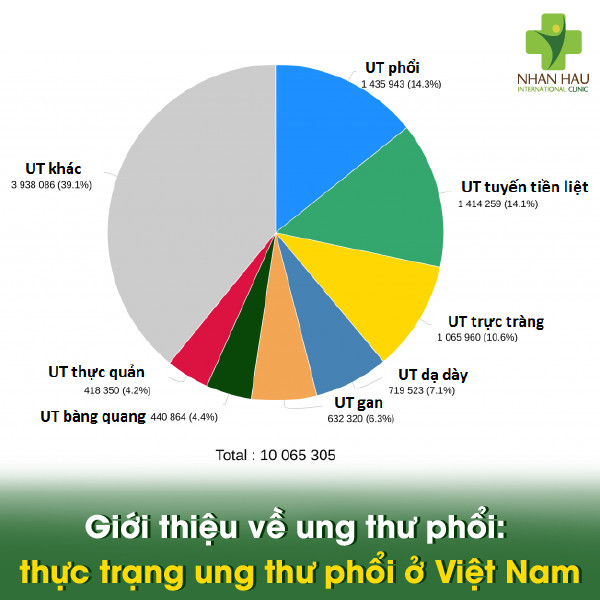Tầm soát ung thư phổi để phát hiện sớm bệnh ung thư phổi 1 Giới thiệu về ung thư phổi: thực trạng ung thư phổi ở Việt Nam