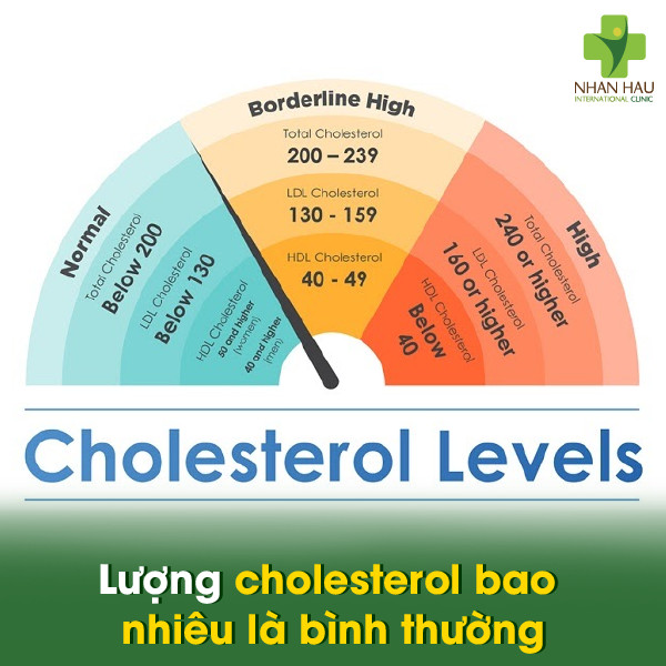 Kiểm Soát Lượng Cholesterol Trong Cơ Thể 3 Lượng cholesterol bao nhiêu là bình thường
