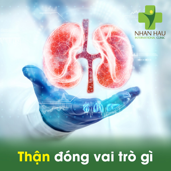 Bệnh suy thận cấp nguy hiểm không 1 Thận là gì và đóng vai trò gì