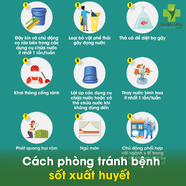 Bệnh sốt xuất huyết: Triệu chứng, nguyên nhân và cách phòng tránh 7 Cách phòng tránh bệnh sốt xuất huyết