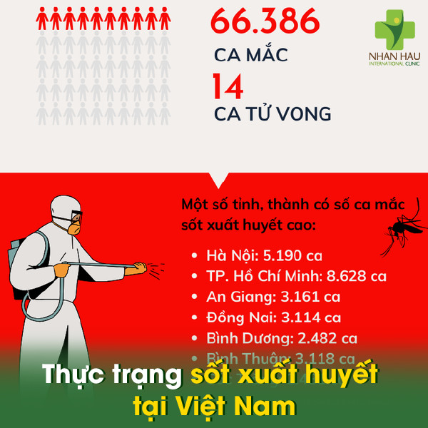 Bệnh sốt xuất huyết: Triệu chứng, nguyên nhân và cách phòng tránh 4 Thực trạng sốt xuất huyết tại Việt Nam