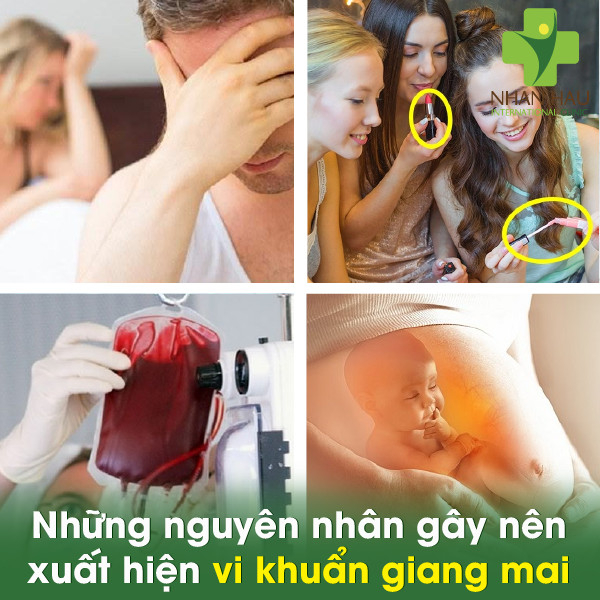 Vi khuẩn giang mai sẽ gây nên những nguy hiểm gì cho cơ thể 2 Những nguyên nhân gây nên xuất hiện vi khuẩn giang mai