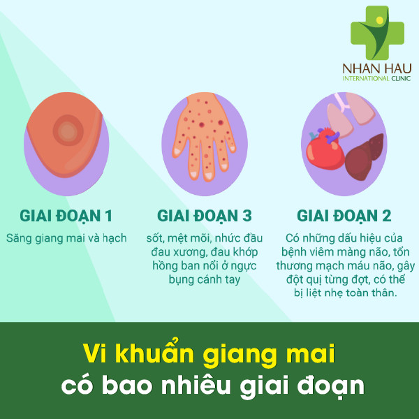 Vi khuẩn giang mai sẽ gây nên những nguy hiểm gì cho cơ thể 4 Vi khuẩn giang mai có bao nhiêu giai đoạn