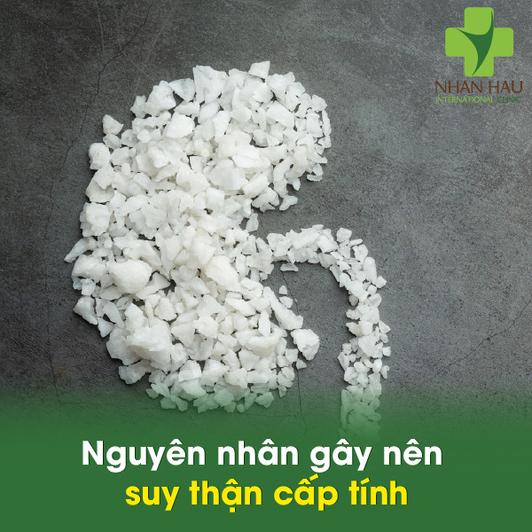 Suy thận cấp tính và những biến chứng gây nên suy thận cấp tính 3 Nguyên nhân gây nên suy thận cấp tính