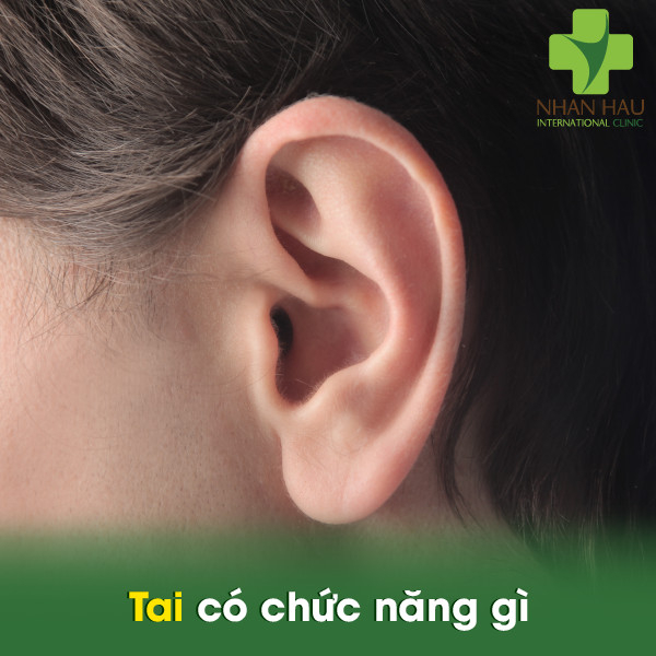 Viêm tai giữa và nguyên nhân gây nên bệnh viêm tai giữa 1 Tai có chức năng gì