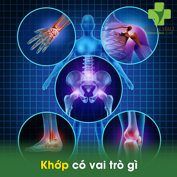 Thoái hóa khớp và những biến chứng gây thoái hóa khớp 1 Khớp có vai trò gì