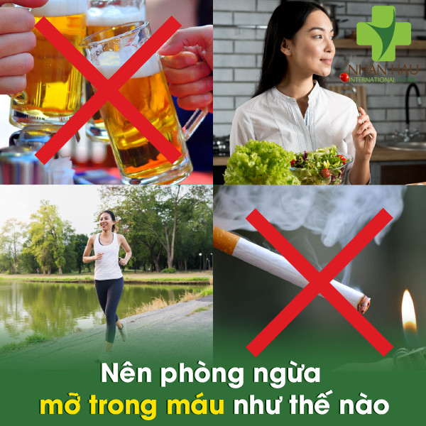 Mỡ trong máu sẽ gây nên những nguy hiểm tiềm ẩn nào 7 Nên phòng ngừa mỡ trong máu như thế nào