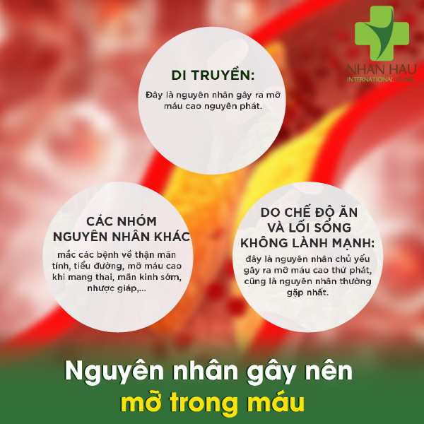 Mỡ trong máu sẽ gây nên những nguy hiểm tiềm ẩn nào 3 Nguyên nhân gây nên mỡ trong máu