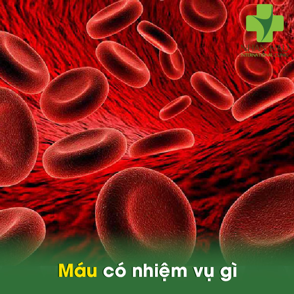 Mỡ trong máu sẽ gây nên những nguy hiểm tiềm ẩn nào 1 Máu có nhiệm vụ gì
