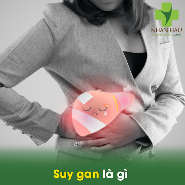Suy gan và những dấu hiệu của suy gan 2 Suy gan là gì