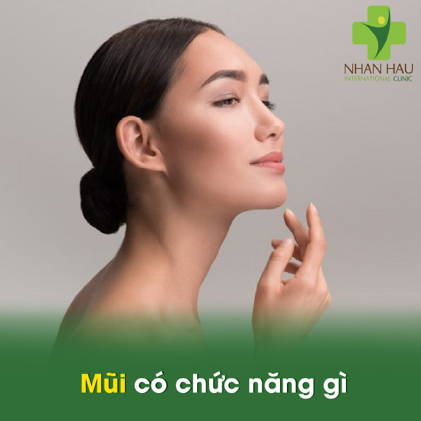 Viêm mũi dị ứng là gì và cách điều trị ra sao? 1 Mũi có chức năng gì