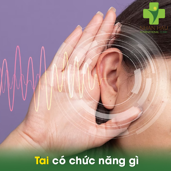Viêm tai giữa và những nguyên nhân gây nên viêm tai giữa 1 Tai có chức năng gì