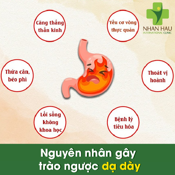 Trào ngược dạ dày là gì? triệu chứng, nguyên nhân và cách điều trị 5 Nguyên nhân gây trào ngược dạ dày