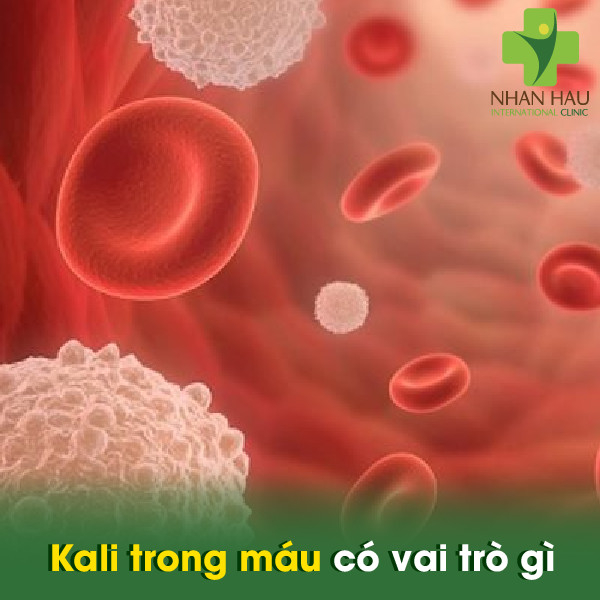 Hạ kali máu và những nguyên nhân hạ kali máu 1 Kali trong máu có vai trò gì