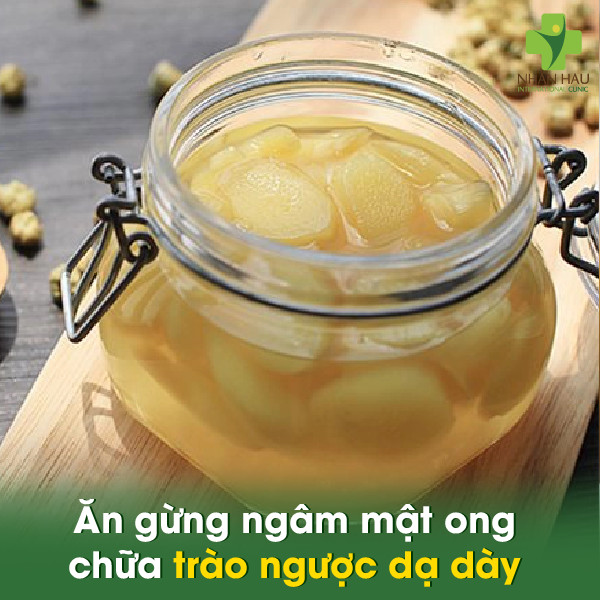 5 Cách chữa trào ngược dạ dày bằng gừng đơn giản nhất 5 Ăn gừng ngâm mật ong chữa tròa ngược dạ dày