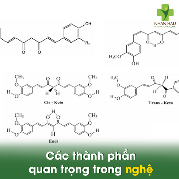 6 Cách chữa trào ngược dạ dày bằng nghệ đơn giản, dễ thực hiện 2 Các thành phần quan trọng trong nghệ