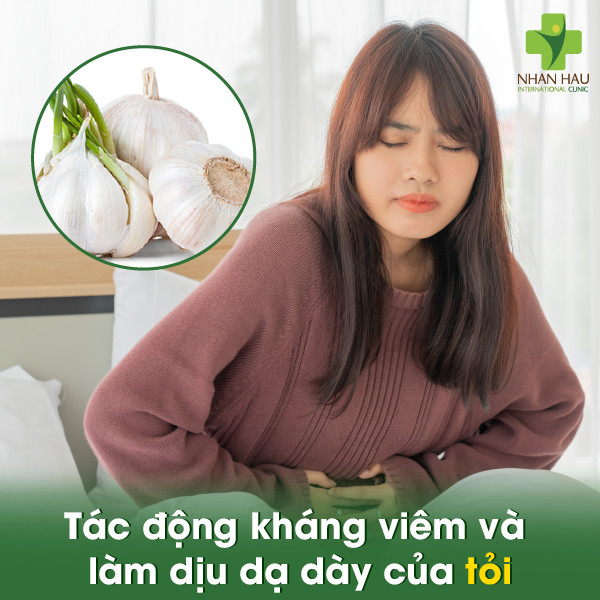Tác động kháng viêm và làm dịu dạ dày của tỏi