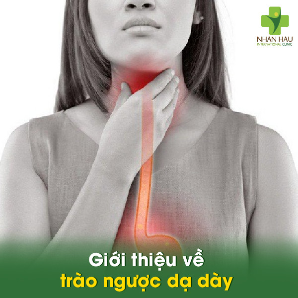 Yoga chữa trào ngược dạ dày: 6 bài tập hiệu quả nhất 1 Giới thiệu về trào ngược dạ dày