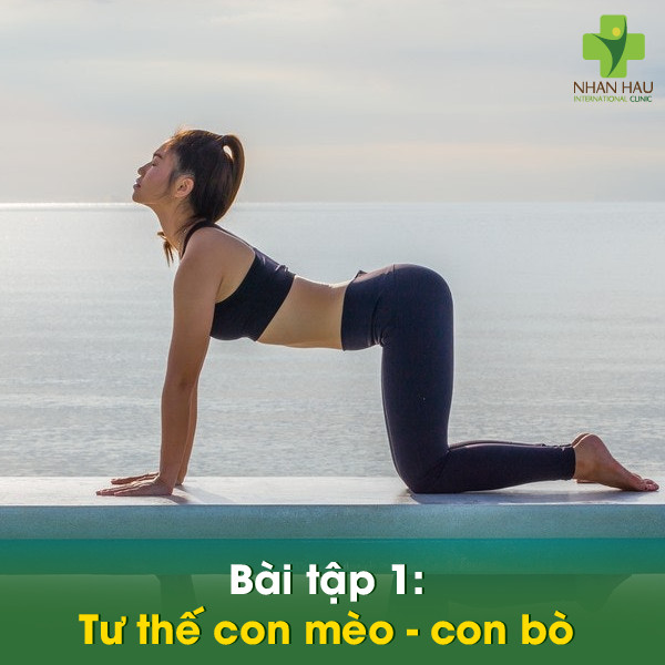 Yoga chữa trào ngược dạ dày: 6 bài tập hiệu quả nhất 3 Tư thế con mèo - con bò