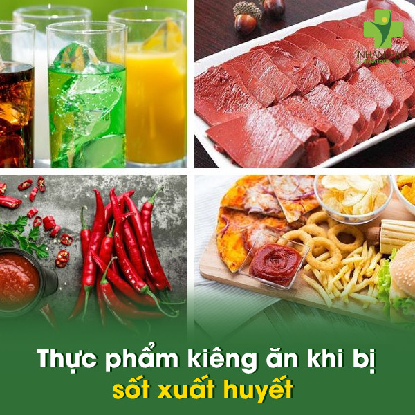 Sốt xuất huyết nên ăn gì để nhanh khỏi? 3 Thực phẩm kiêng ăn khi bị sốt xuất huyết