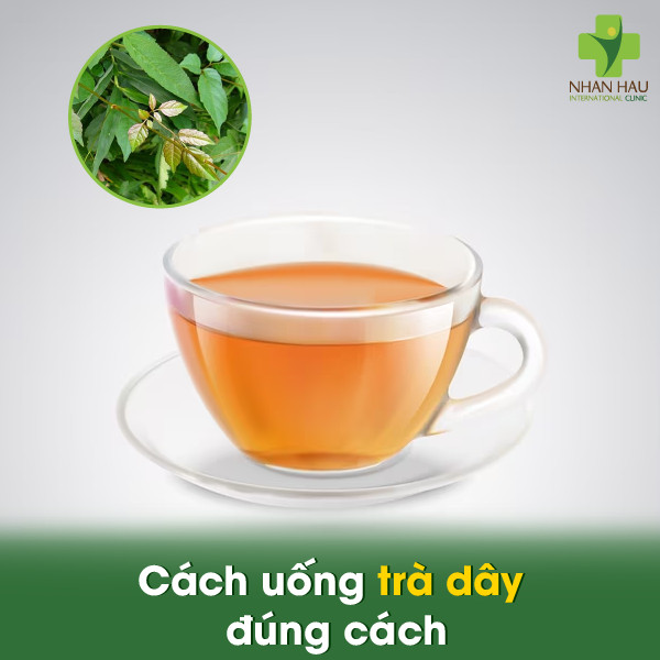 Uống trà dây chữa đau dạ dày? Uống trà dây hằng ngày có tốt không 2 Cách uống trà dây đúng cách