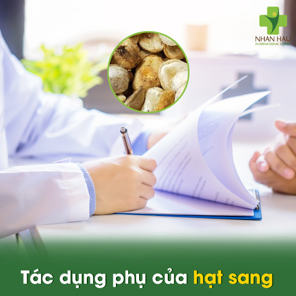 Hạt sang chữa đau dạ dày: Cách dùng, tác dụng phụ và lưu ý 4 Tác dụng phụ của hạt sang