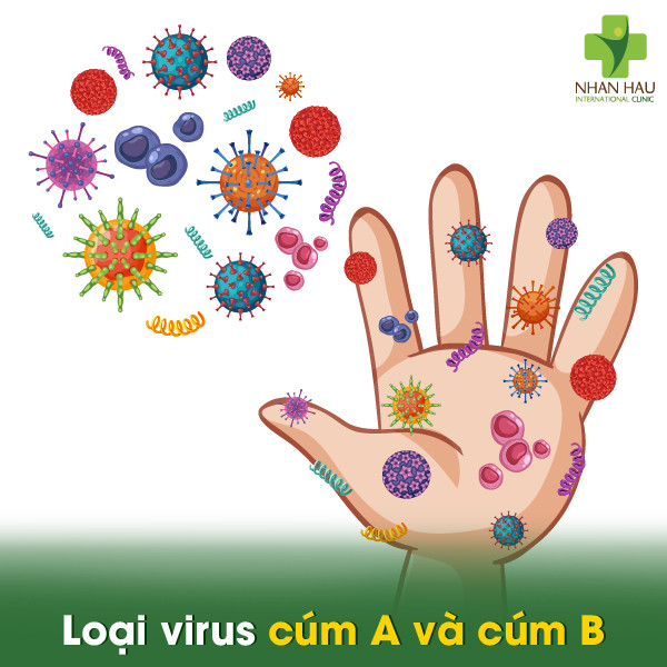 Cúm A và cúm B khác nhau như thế nào? Mức độ biến đổi của cúm A và cúm B 2 Loại virus cúm A và cúm B