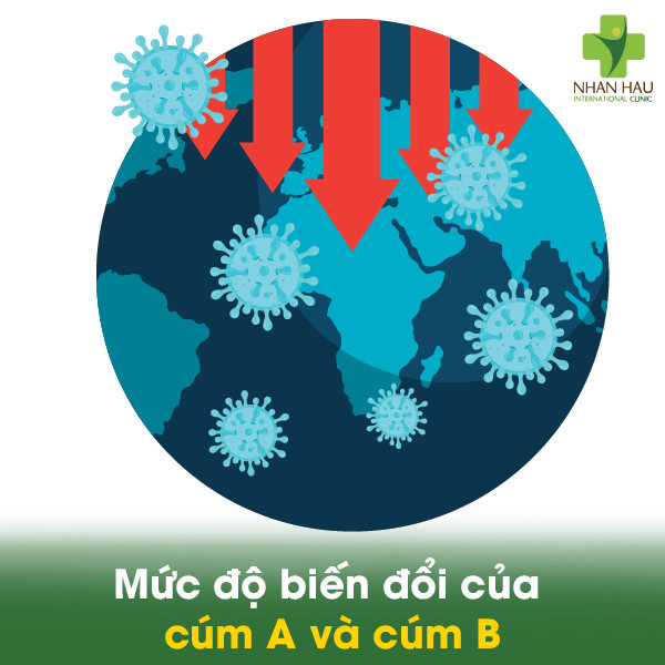 Cúm A và cúm B khác nhau như thế nào? Mức độ biến đổi của cúm A và cúm B 4 Mức độ biến đổi của cúm A và cúm B