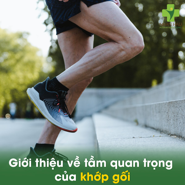 Tiêm chất nhờn vào khớp gối giá bao nhiêu? Bảng giá chi tiết và những điều cần biết 1 Giới thiệu về tầm quan trọng của khớp gối và tiêm chất nhờn khớp gối