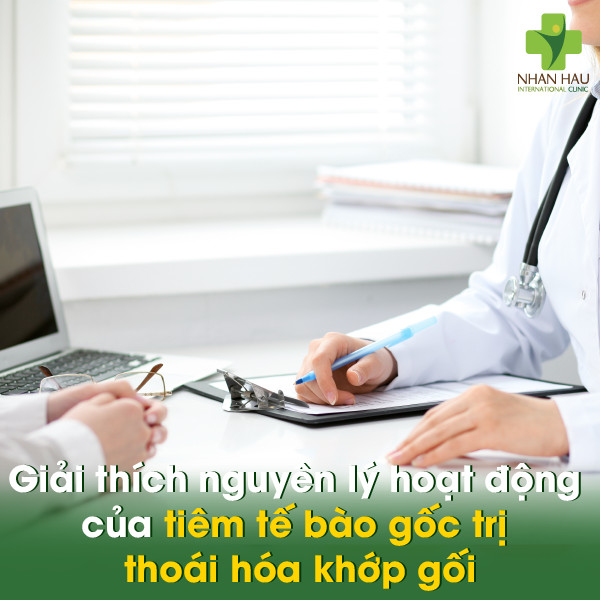 Tiêm tế bào gốc khớp gối: Giải pháp đột phá mới an toàn và hiệu quả 1 Giải thích nguyên lý hoạt động của tiêm tế bào gốc trị thoái hóa khớp gối
