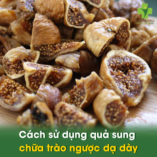 Quả sung chữa trào ngược dạ dày: Sự thật thú vị và những lưu ý khi sử dụng 3 Cách sử dụng quả sung chữa trào ngược dạ dày