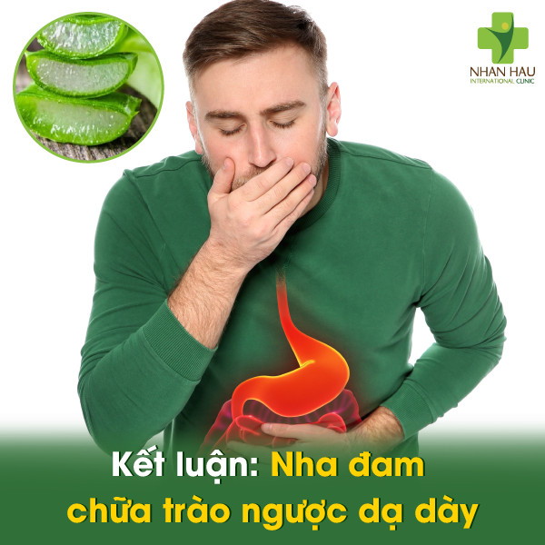 Nha đam chữa trào ngược dạ dày: Lợi ích và những lưu ý quan trọng 6 Kết luận: Nha đam chữa trào ngược dạ dày