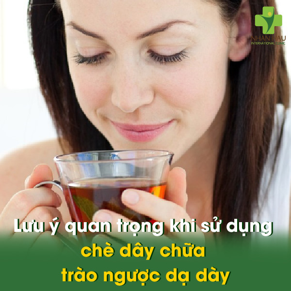 Chè Dây Chữa Trào Ngược Dạ Dày: Giải Pháp Đông Y An Toàn, Hiệu Quả 2 Lưu ý quan trọng khi sử dụng chè dây chữa trào ngược dạ dày