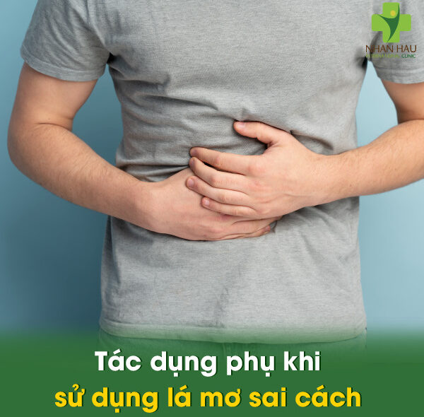 Lá mơ chữa trào ngược dạ dày: hiệu quả bất ngờ, dễ thực hiện 4 Tác dụng phụ khi sử dụng lá mơ sai cách
