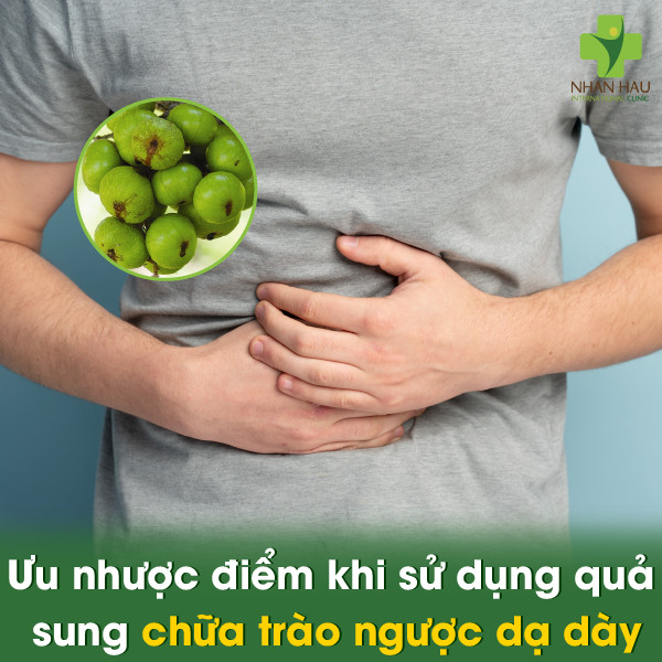 Quả sung chữa trào ngược dạ dày: Sự thật thú vị và những lưu ý khi sử dụng 4 Ưu nhược điểm khi sử dụng quả sung chữa trào ngược dạ dày