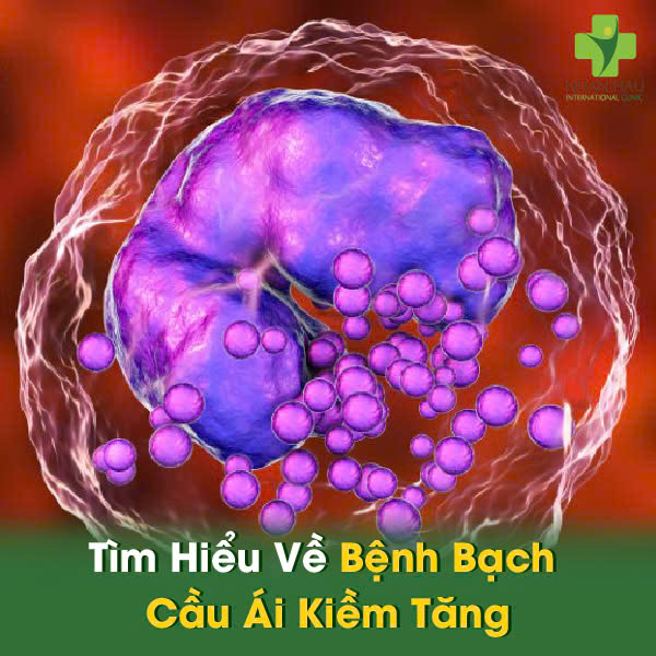 Bạch Cầu Ái Kiềm Tăng: Nguyên Nhân và Điều Trị 1 Tìm Hiểu Về Bệnh Bạch Cầu Ái Kiềm Tăng