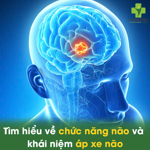 Áp Xe Não: Tình Trạng Nguy Hiểm - Cần Được Cấp Cứu Y Tế Ngay Lập tức 1 Tìm Hiểu Về Chức Năng Não Và Khái Niệm Áp Xe Não