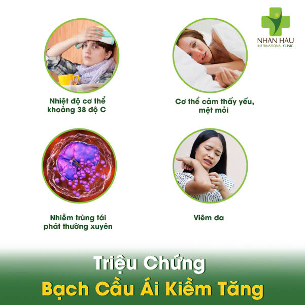 Bạch Cầu Ái Kiềm Tăng: Nguyên Nhân và Điều Trị 3 Triệu Chứng Bạch Cầu Ái Kiềm Tăng