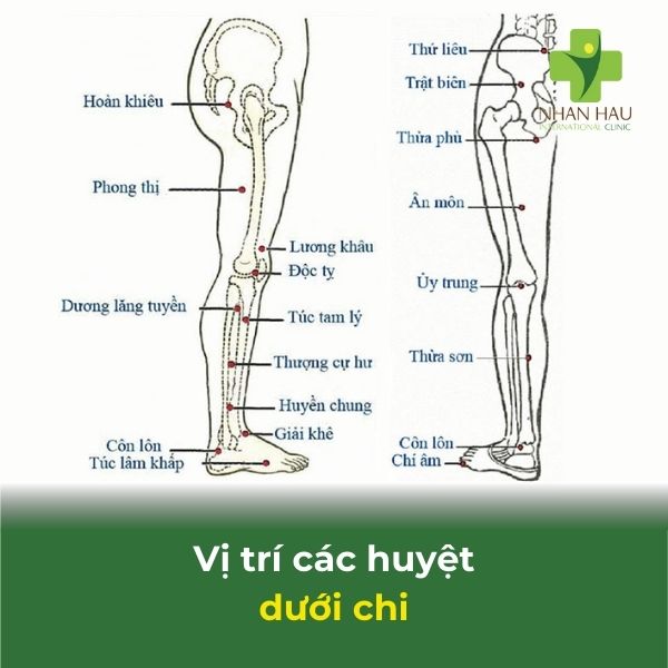 Cách bấm huyệt cho người bị tai biến mạch máu não 10 vị trí huyệt ở chi
