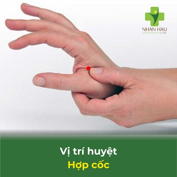 Cách bấm huyệt cho người bị tai biến mạch máu não 4 vị trí huyệt hợp cốc
