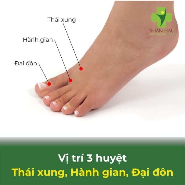 Cách bấm huyệt cho người bị tai biến mạch máu não 3 vị trí huyệt thái xung, hành gian, đại đôn