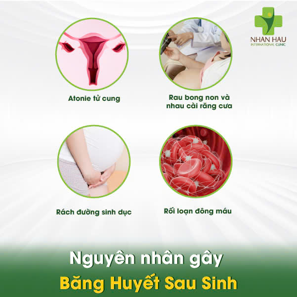 Băng Huyết Sau Sinh: Nguyên Nhân, Dấu Hiệu và Xử Trí Cấp Thấp 2 Nguyên nhân gây Băng Huyết Sau Sinh