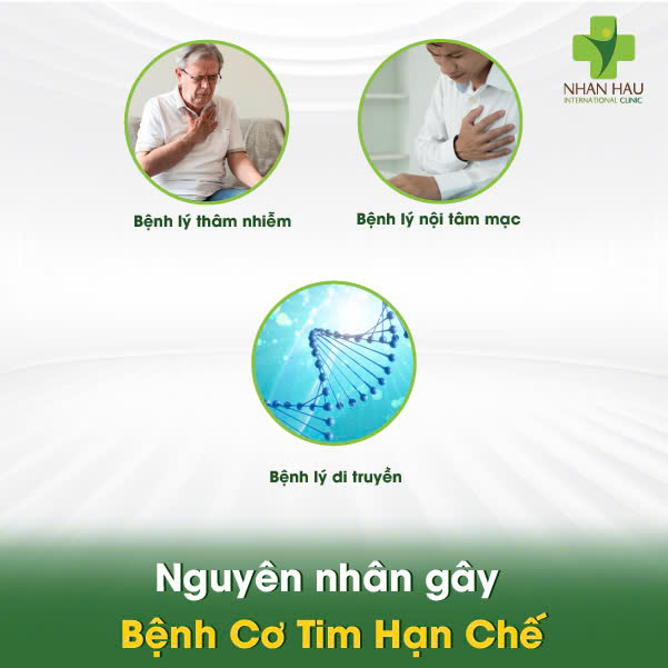 Bệnh Cơ Tim Hạn Chế: Dấu Hiệu, Nguyên Nhân và Điều Trị 2 Nguyên nhân gây Bệnh Cơ Tim Hạn Chế