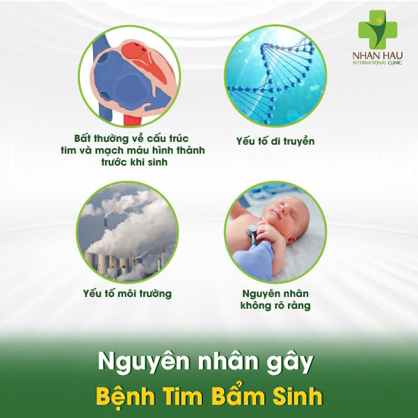 Bệnh Tim Bẩm Sinh: Nguyên nhân, triệu chứng và cách phát hiện 2 Nguyên nhân gây Bệnh Tim Bẩm Sinh