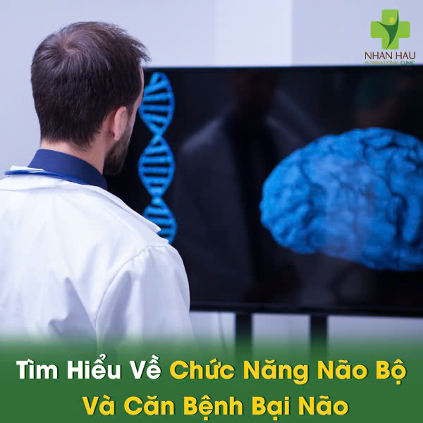Bại Não: Nguyên Nhân, Triệu Chứng Và Những Biên Chứng 1 Tìm Hiểu Về Chức Năng Não Bộ Và Căn Bệnh Bại Não