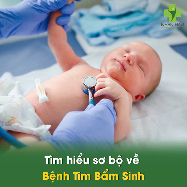 Bệnh Tim Bẩm Sinh: Nguyên nhân, triệu chứng và cách phát hiện 1 Tìm hiểu sơ bộ về Bệnh Tim Bẩm Sinh