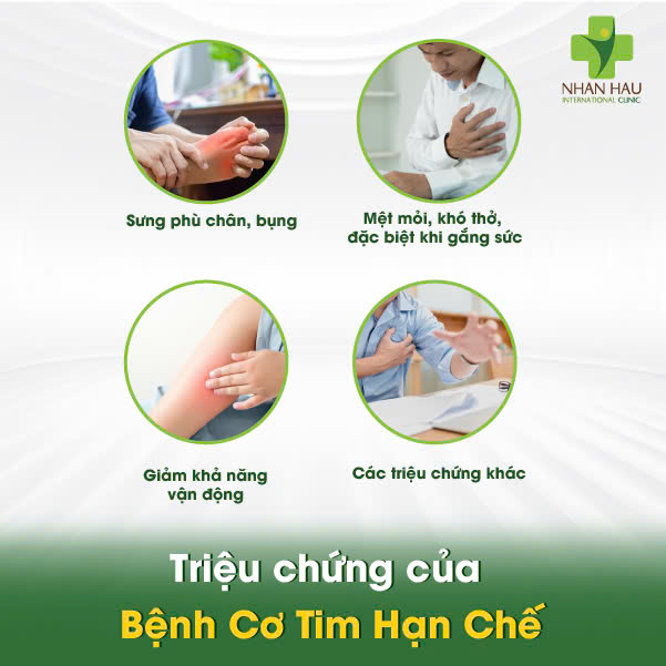 Bệnh Cơ Tim Hạn Chế: Dấu Hiệu, Nguyên Nhân và Điều Trị 3 Triệu chứng của Bệnh Cơ Tim Hạn Chế