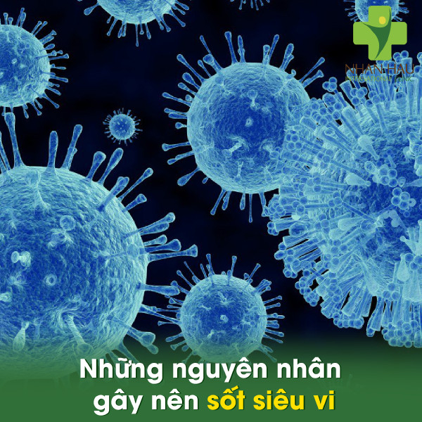 Những nguyên nhân gây nên sốt siêu vi