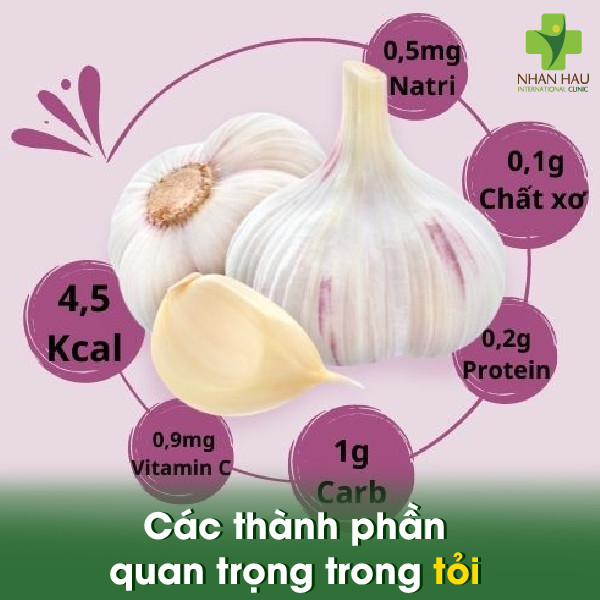 Các thành phần quan trọng trong tỏi